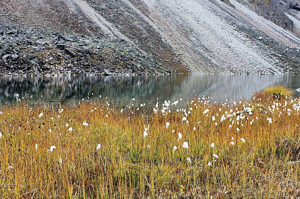У горного озера.