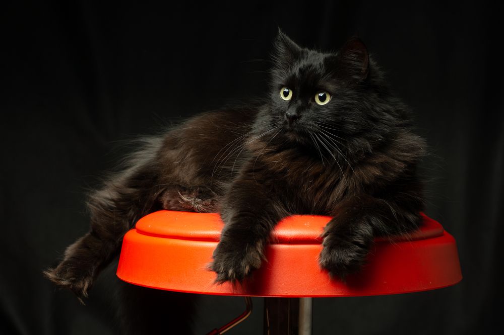 Photograph by Сергей Беляевский