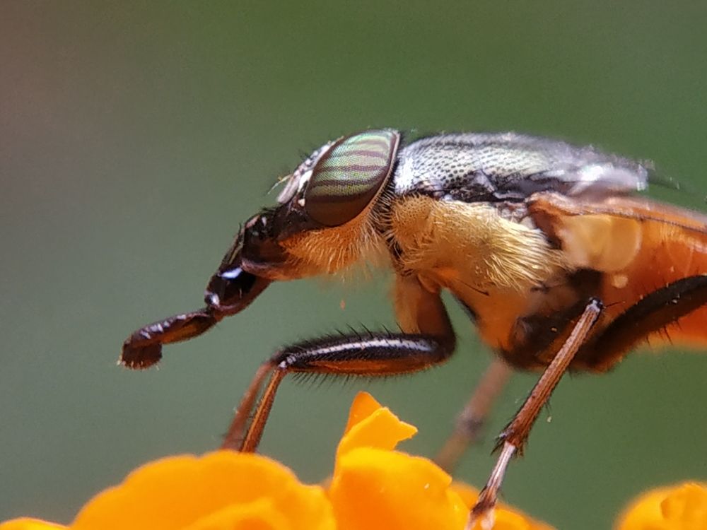 Photograph by Ashok Kumar