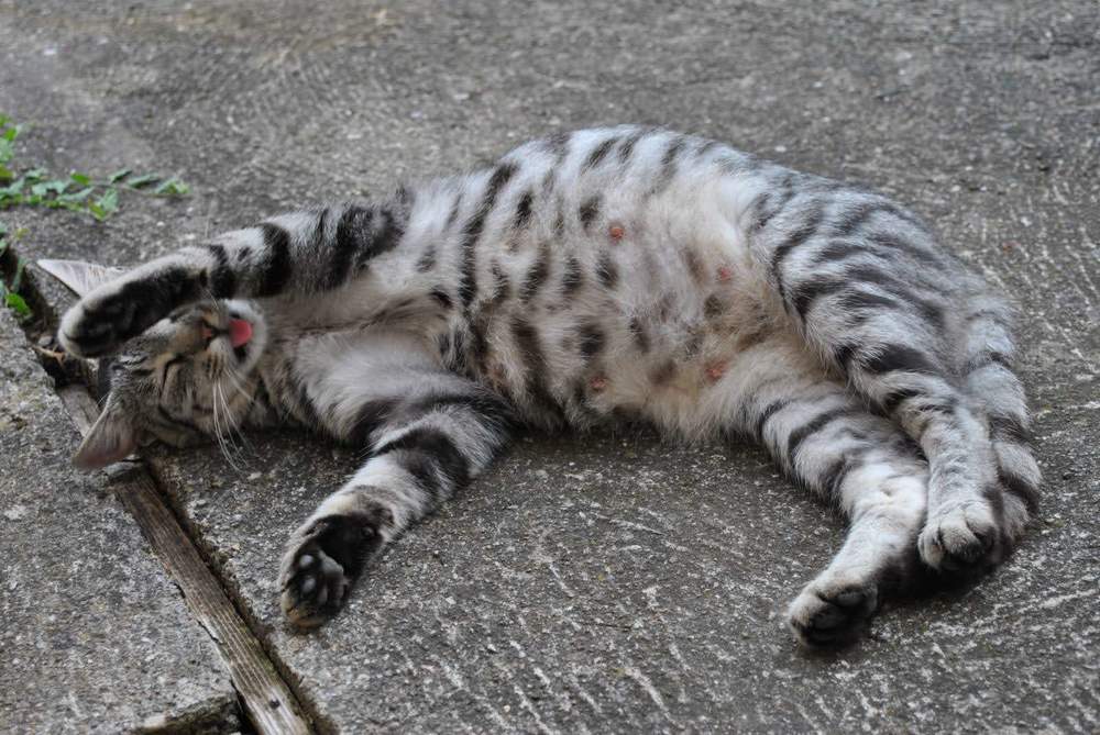 Photograph by Isidora Nikolić