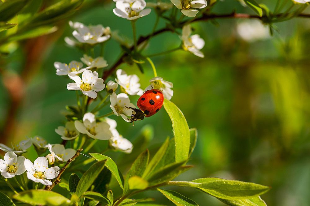 Photograph by Андрей Евтеев