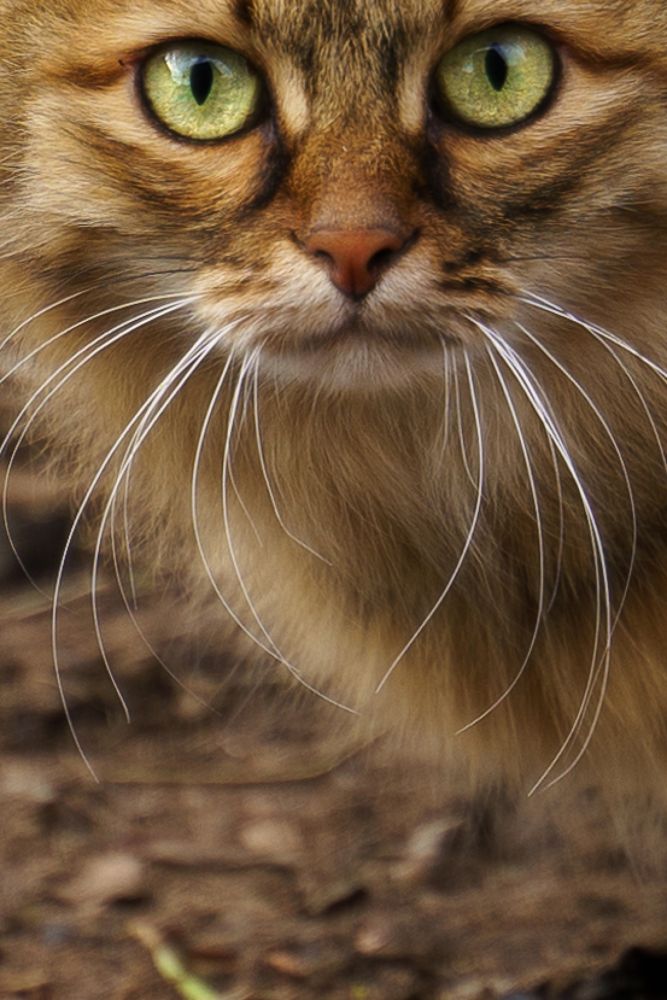 Photograph by Александра Чистякова