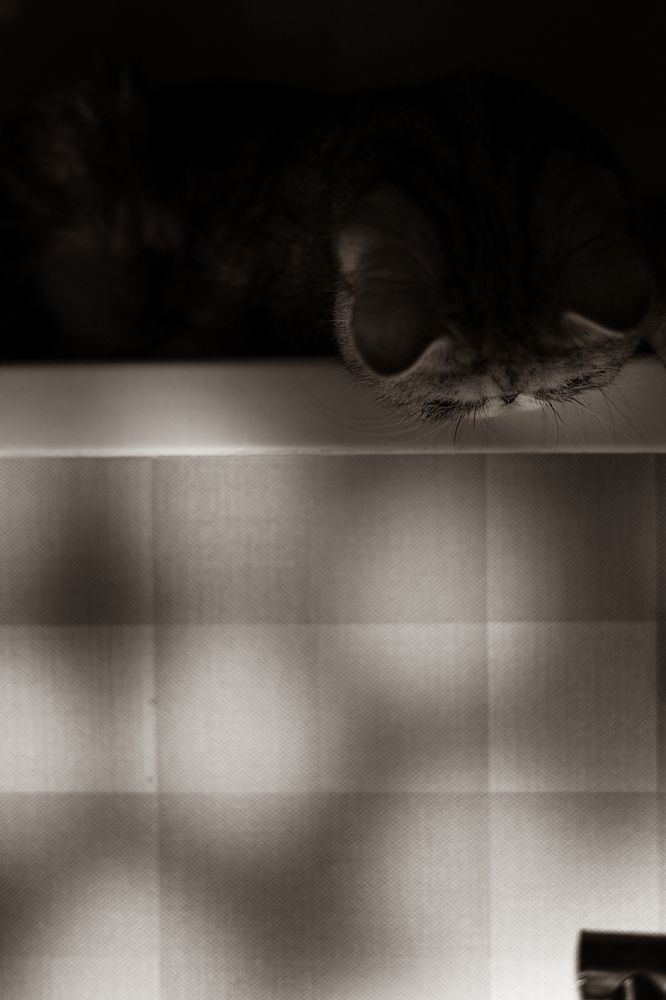 Photograph by Александра Чистякова