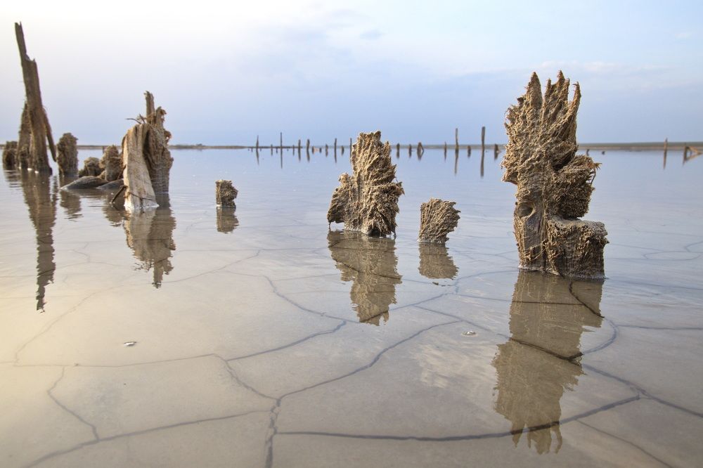 Фотография автора Елена Колосова