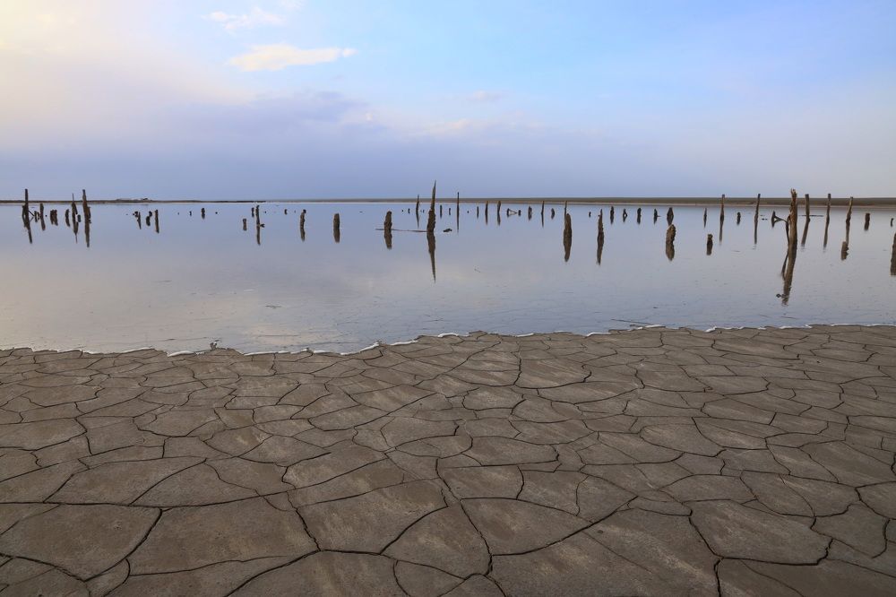 Фотография автора Елена Колосова