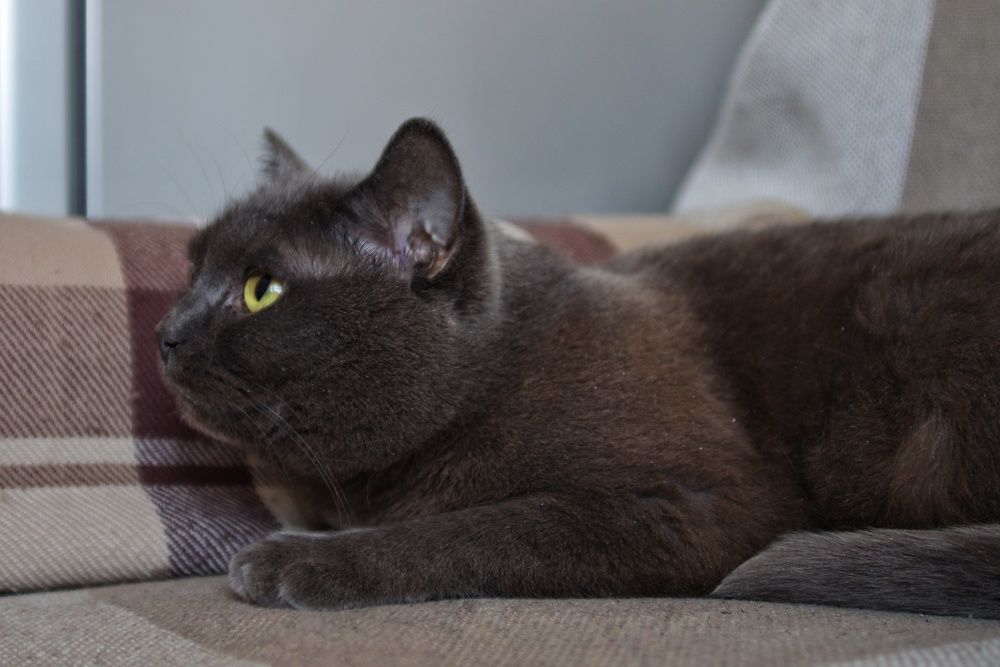 Photograph by Екатерина Чижевская