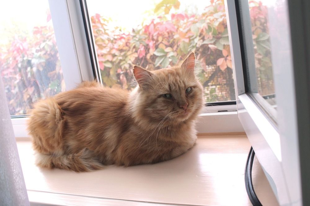 Photograph by Елена Кузнецова