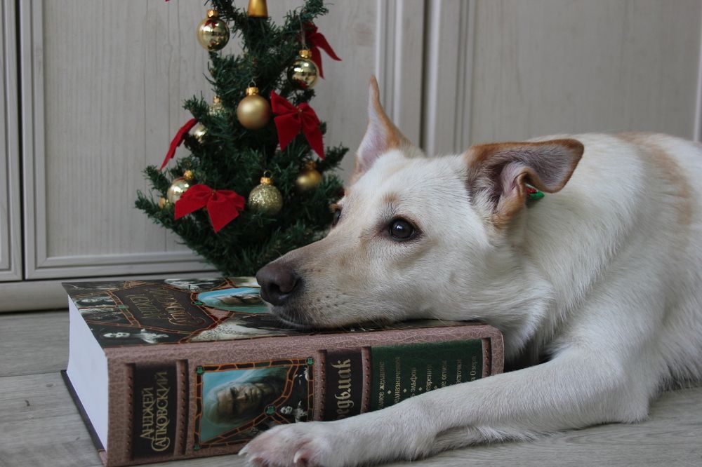 Photograph by Юлия