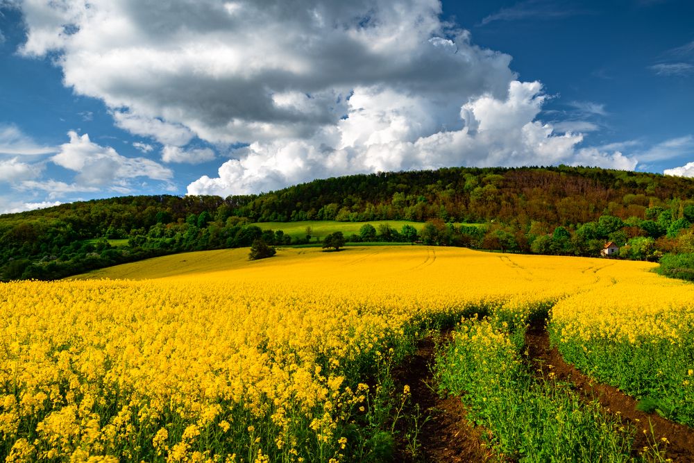 Фотография автора Martin Kovács