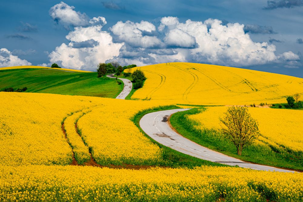 Фотография автора Martin Kovács