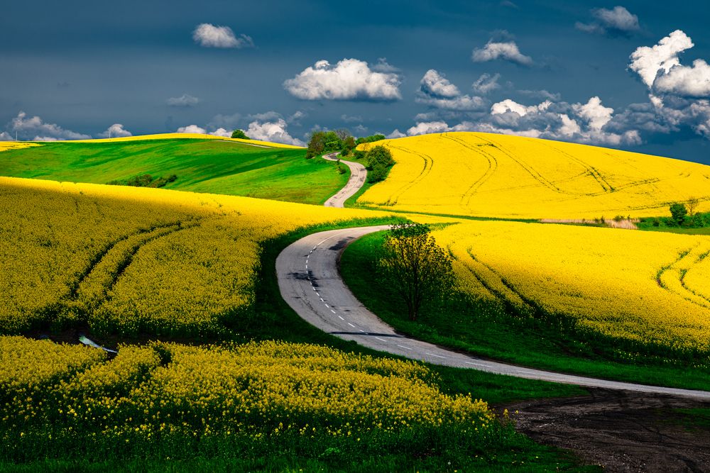 Фотография автора Martin Kovács