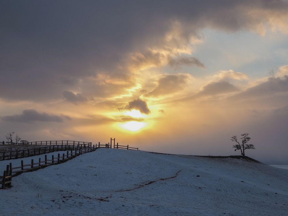 Photograph by Надежда Меркулова