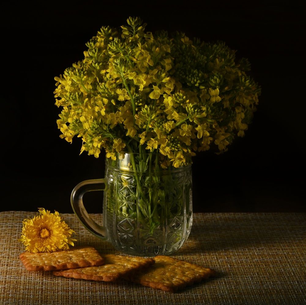 Photograph by Евгения Лушенкова