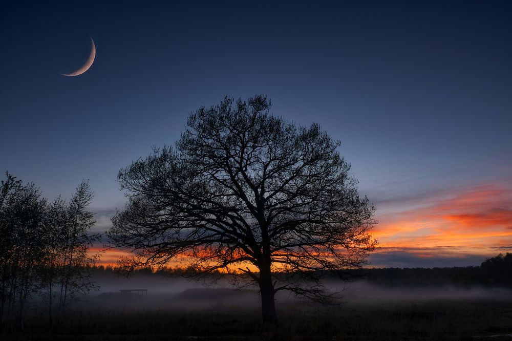 Photograph by Андрей Лабутин