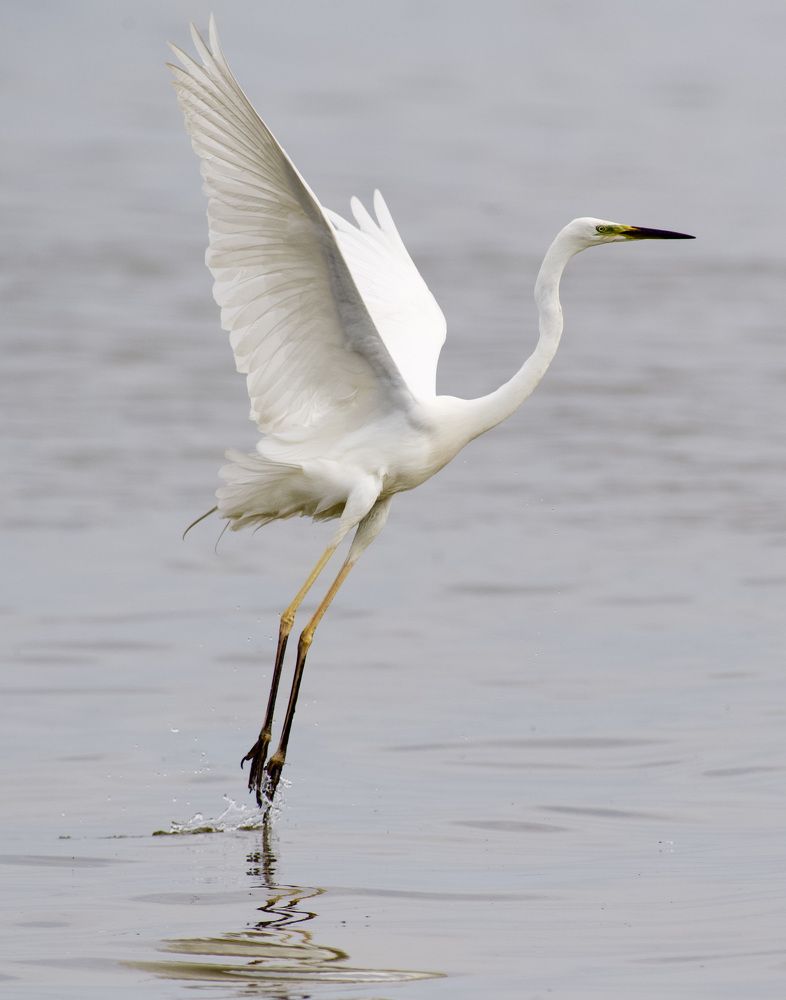 Photograph by advokatkijashko