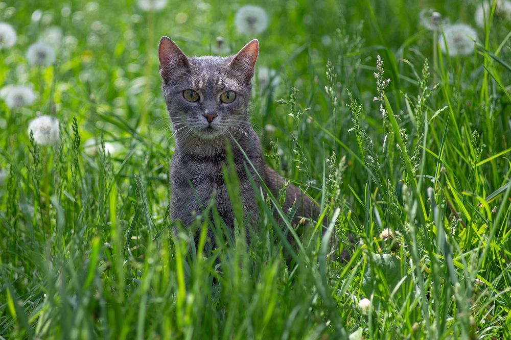 Photograph by Артем Талмаза