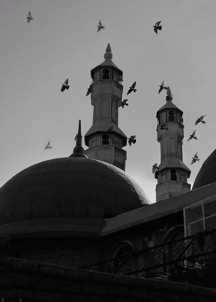 Photograph by Khosro Sayadi