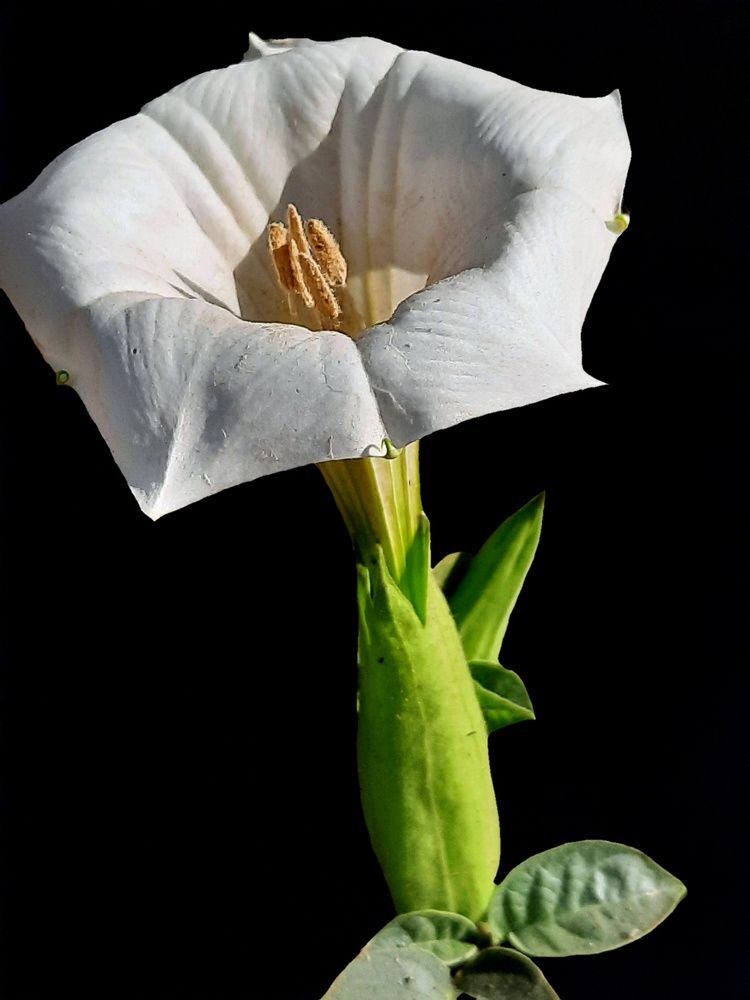 Photograph by Bapodara Sugha