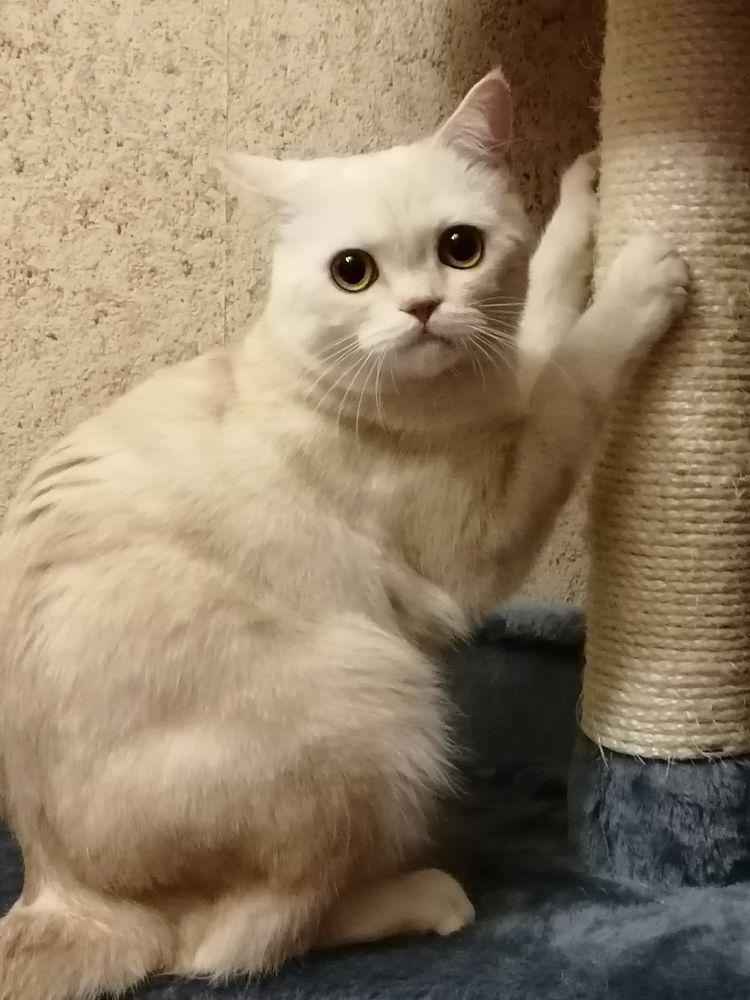 Photograph by Светлана Замятина