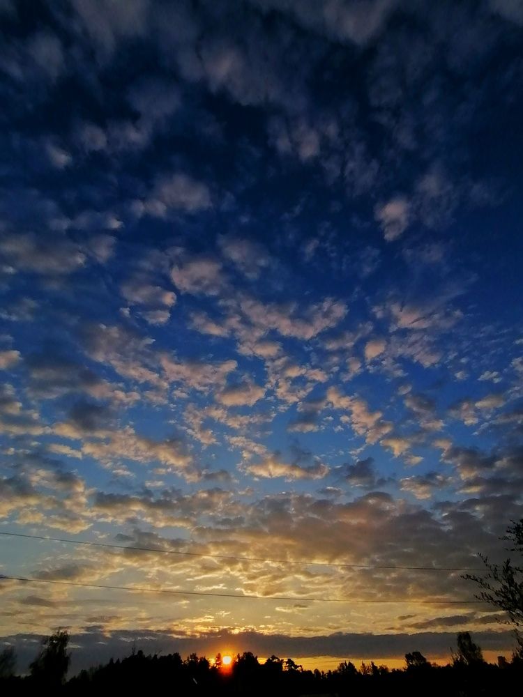 Photograph by Ольга Тимофеева