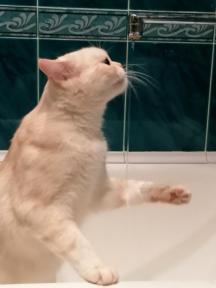 Photograph by Светлана Замятина