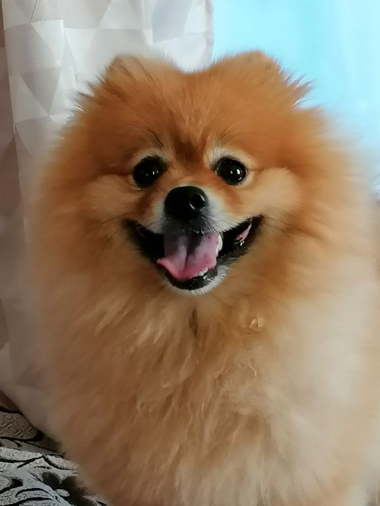 Photograph by Светлана Замятина