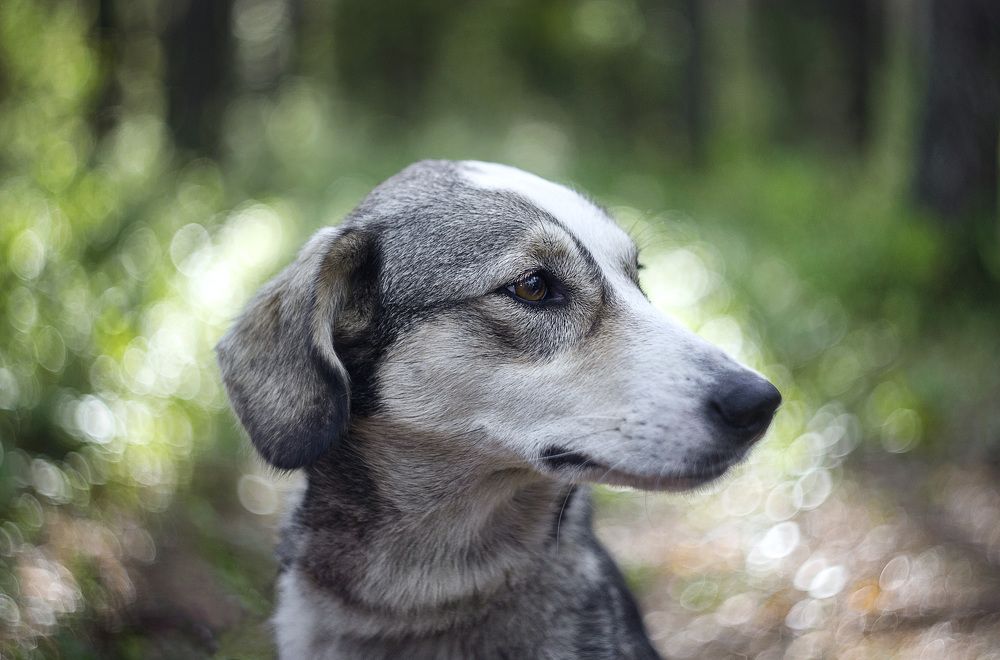 Photograph by Ольга Кобринская