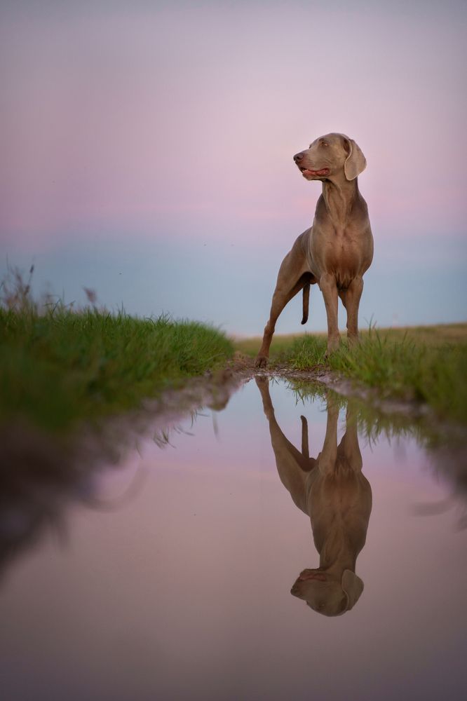 Photograph by Андрей Скрыльков