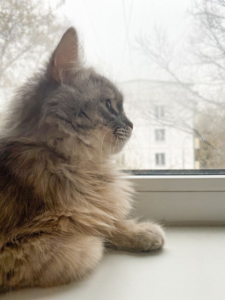 Photograph by Анна Знаменская