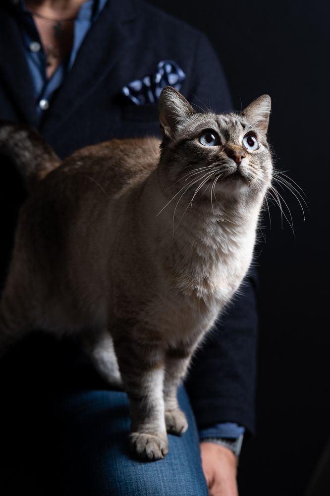 Photograph by Francesco Pronestì