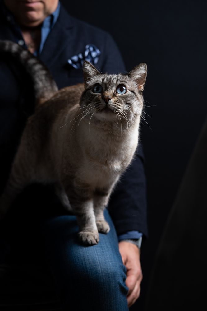 Photograph by Francesco Pronestì