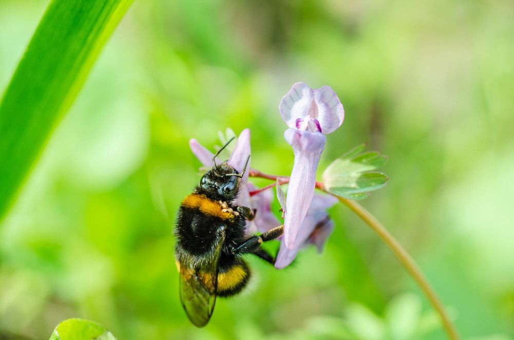 Photograph by Александр Леонов