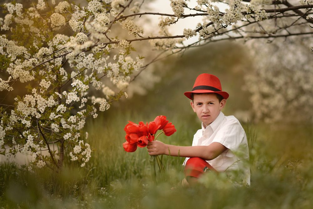 Тюльпанное настроение