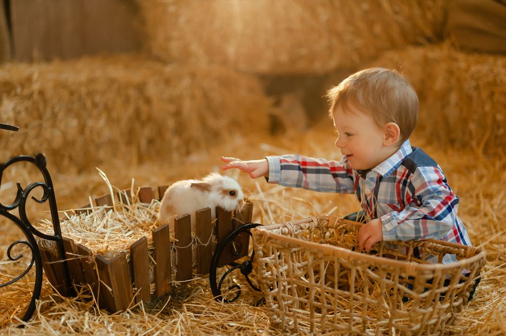 Photograph by Наталья Смышляева