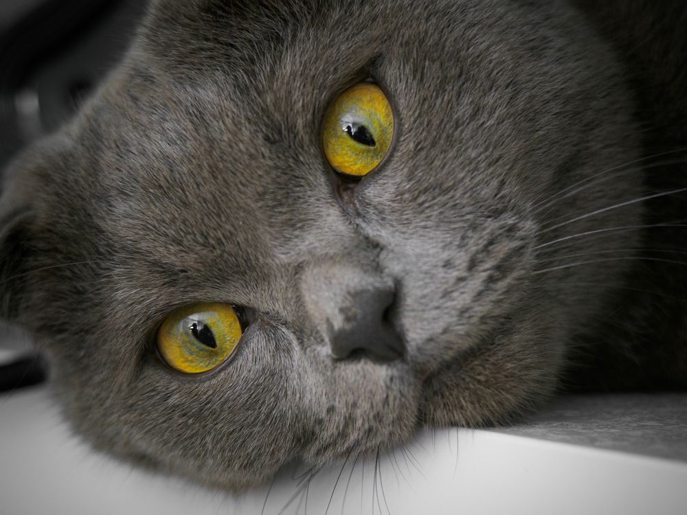 Photograph by Сергей Кадыров