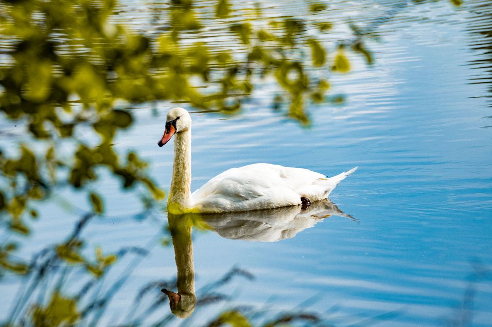 Photograph by Reinhold Seibel