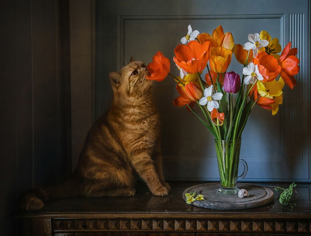 Фотография автора Анна Петина