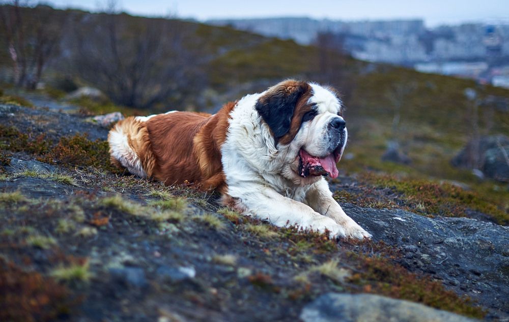 Photograph by Ксения Щербань