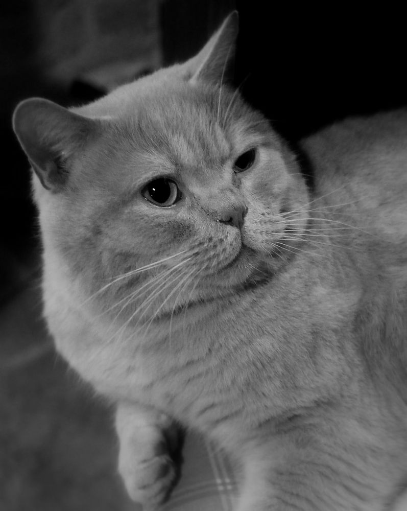 Photograph by Вячеслав