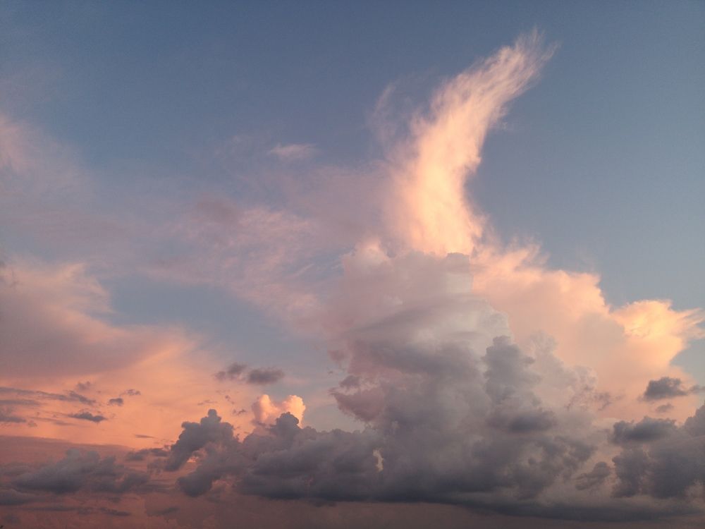 Photograph by Ирина Алексеевская