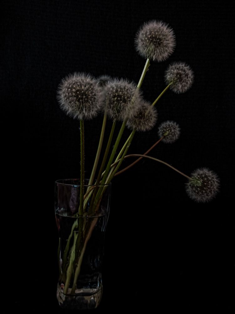 Photograph by Валентина Шевченко