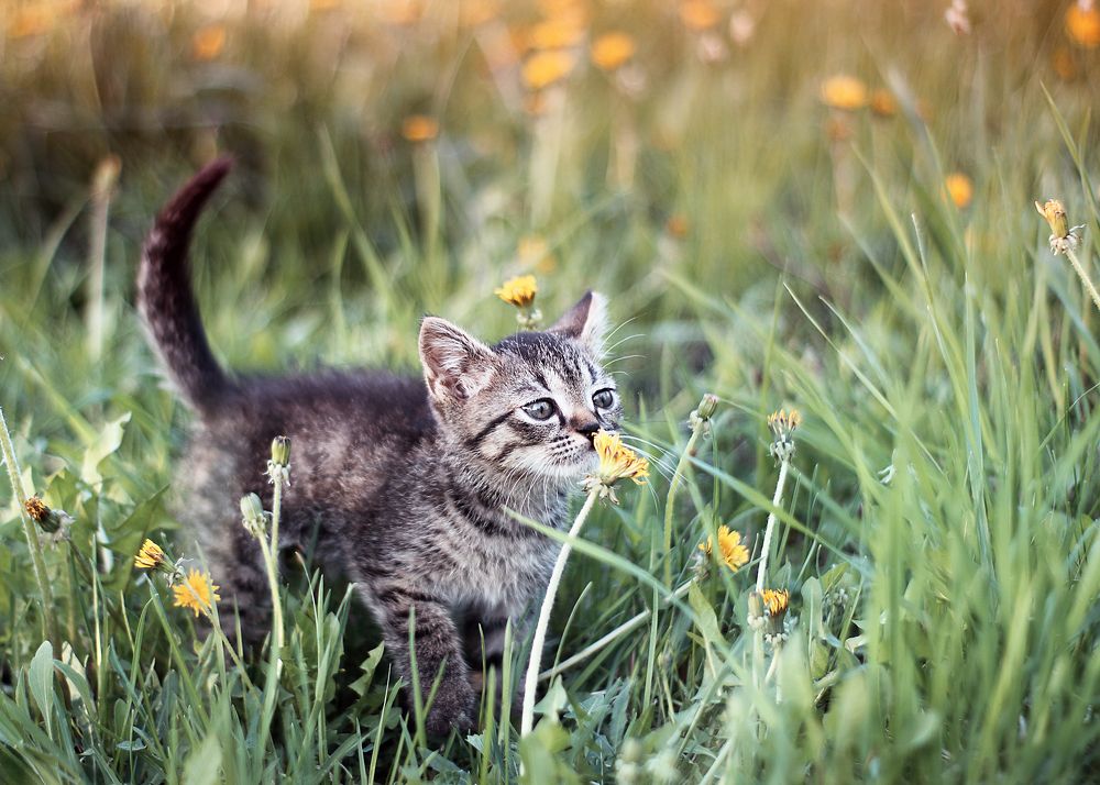 Photograph by Эльза Давлеева