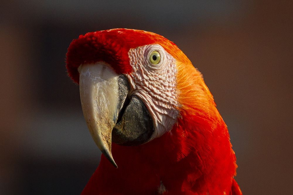 Photograph by Hernan Jaramillo