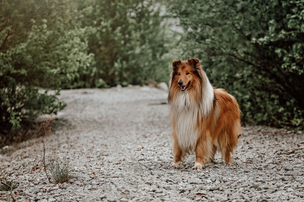 Photograph by СВЕТЛАНА ГРАЧЕВА