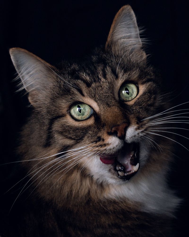 Photograph by Татьяна Носкович