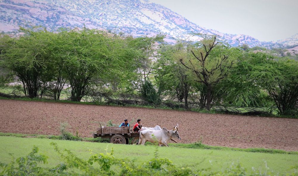 Photograph by pankaj kapoor