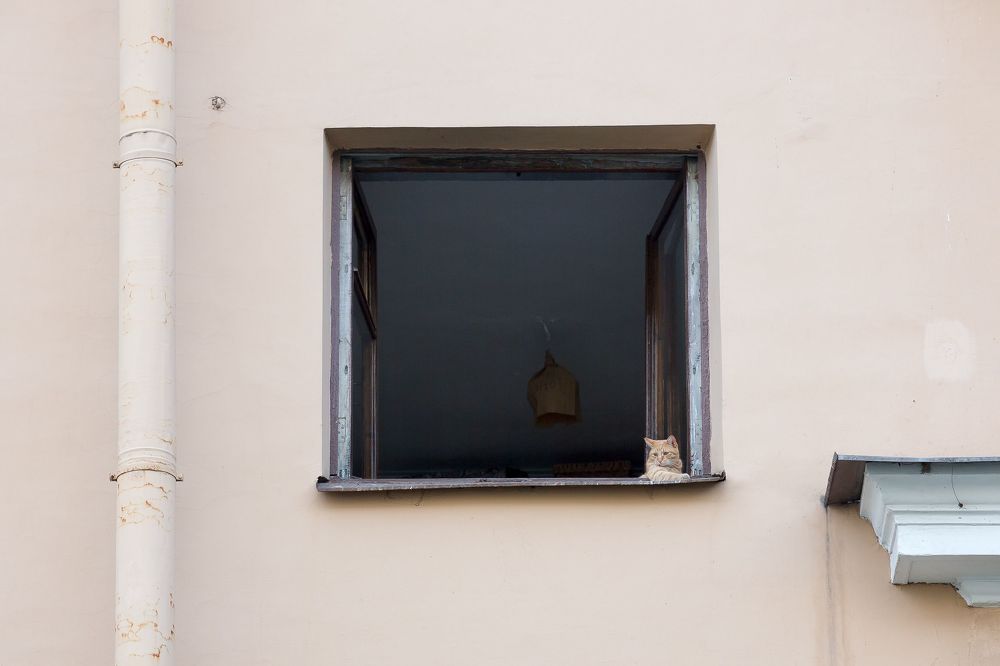 Photograph by Степан Кравченко