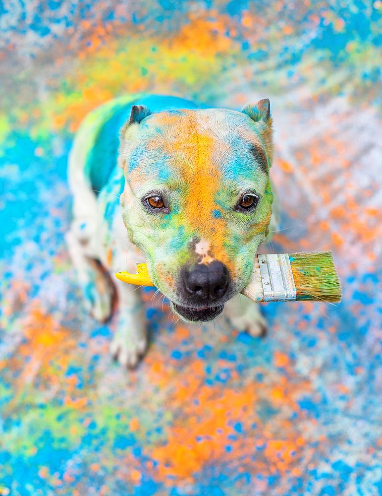 Photograph by Аня Егоренкова