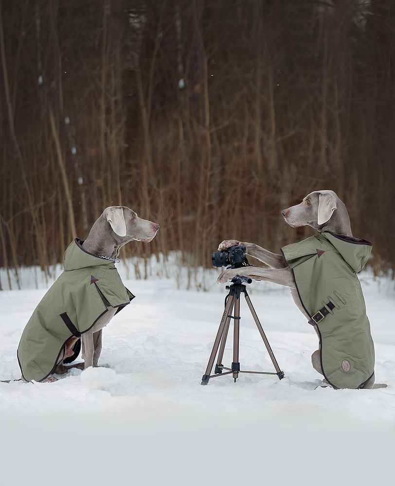 Photograph by Аня Егоренкова