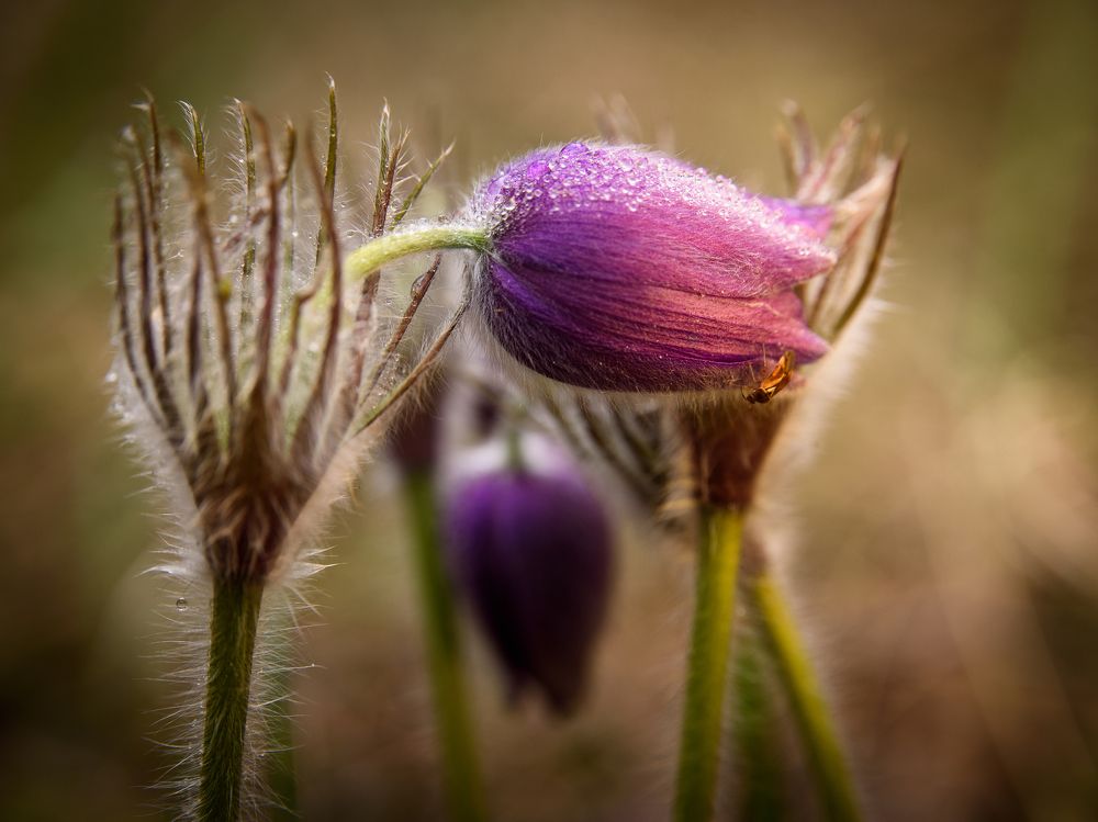 Photograph by Виктор Зенин